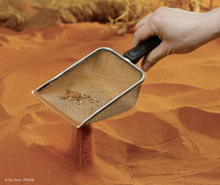 Preview: Exo Terra Scoop